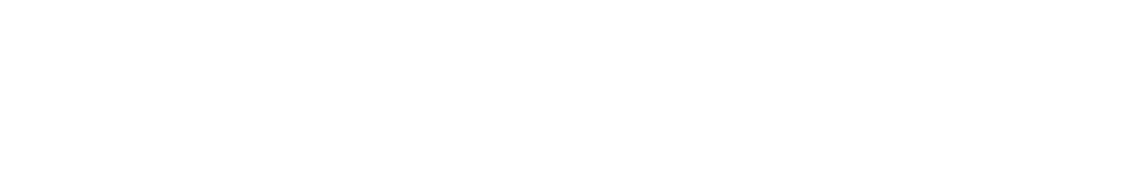 Logo_Wiesloch_weiss